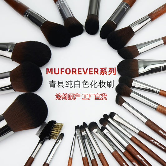 Essential Makeup Brush Collection